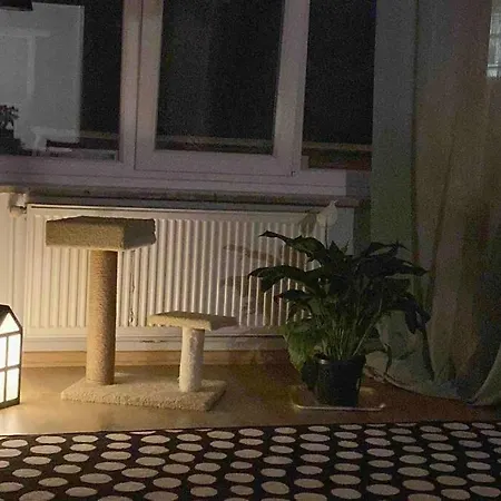 Апартаменты 2-bedroom Rooftop Flat Between Kadikoy & Uskudar Стамбул
